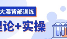 麦大湿背部训练视频课程(理论+实操计划)