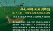 周凌:身心同调16周训练营整合中医