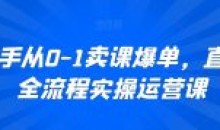 新手从0-1卖课爆单直播全流程运营课