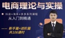 电商理论与实操从入门到抖店淘系多多