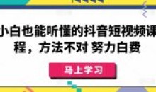 小白也能听懂抖音短视频方法不对白努力