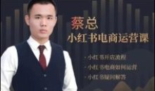 潮汕蔡总·小红书电商运营课电商如何运营