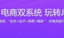 实战支付+电商双系统 玩转Java技术栈