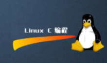 linux C/C++编程全套教程一码农有道