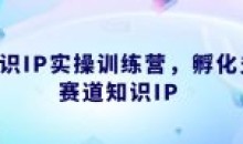 知识IP实操训练营 孵化多赛道知识IP