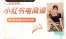 景景小红书电商新手实操网店实操运营