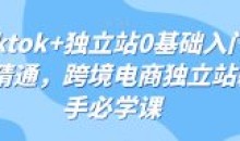 tiktok+独立站0基础入门到精通跨境电商