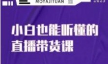 大威本威·能听懂的直播带货课小白20节