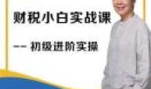 石彦文财稅小白实战 财务会计实操课