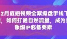 12月底短视频全案操盘手线下课必备要素