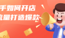 新手如何开店做流量打造爆款运营课程