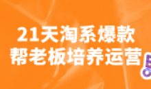 21天淘系爆款帮老板培养运营教程