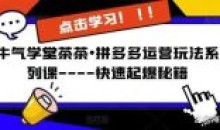 牛气学堂茶茶•拼多多运营玩法系列课