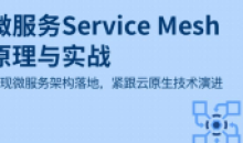微服务Service Mesh原理与实战