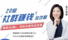 麦子老师20节社群,零基础运营