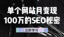 单个网站月变现100万的SEO秘密