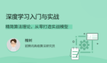 深度学习入门与实战精简算法理论