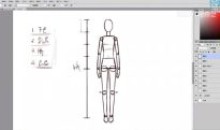 人体结构与比例初级入门之动漫绘制