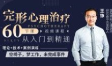 王铮完形心理治疗60节从入门到精通