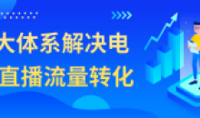 4大体系解决电商直播流量转化教学