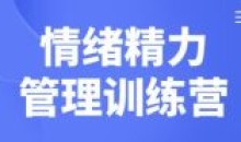 琳子博士-情绪精力管理训练营课程