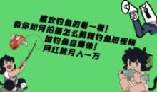 教你如何拍摄怎么剪辑钓鱼短视频