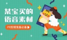 淘宝外面买到9000条语音素材