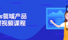 Saas领域产品视野经理视频课程