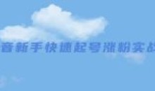 抖音新手快速起号涨粉实战课程