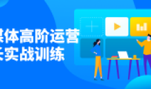 新媒体高阶运营增长实战训练教程