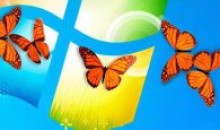 桌面动态小装扮蝴蝶蟑螂苍蝇1.3汉化版