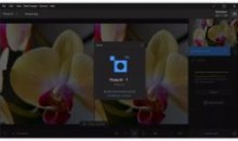 Topaz Photo AI破解版(图片降噪软件)V3.5.20