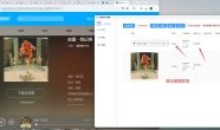 万能嗅探1.0.5可抓视频号批量抓取媒体文件
