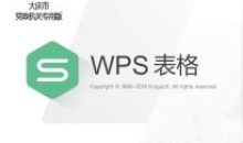 WPS2019 大庆政府专用版v11.8.2.8411