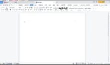 WPS学校定制无广告绿色2022秋季版