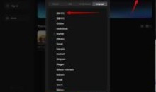 剪映国际版capcat-2.5.2素材VIP随意用
