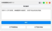 全网短视频去水印XX短视频去水印v1.1