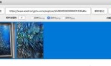 PC小红书笔记图片下载绿色免费v1.0版