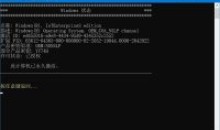 Microsoft激活脚本(MAS中文版) v2.8汉化中文破解版