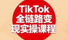 小杨老师·TikTok全链路变现实操课程,全方位助力学员掌握TK变现技能