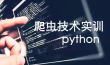 python爬虫技术实训视频教程