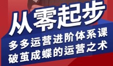 海神·拼多多运营进阶系统课,从零起步,多多运营进阶体系课,破茧成蝶的运营之术
