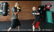 光头拳击教学31集全课