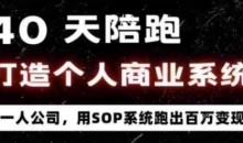 40天商业系统陪跑一人公司,用SOP系统跑出百W变现