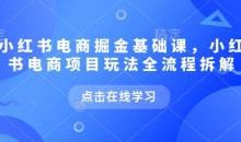 小红书电商掘金课,小红书电商项目玩法全流程拆解