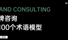 品牌咨询的100个术语模式