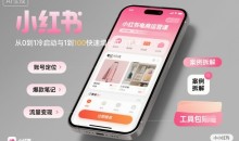 小红书电商运营课:从0到1冷启动与1到100快速增长实战教学