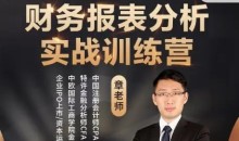 安越咨询-财务报表分析实战训练营章老师视频课程资料课件