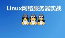 Linux网络服务器实战视频课价值399元