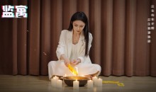 监寓/Cellveilance Official角色扮演探案剧情作品